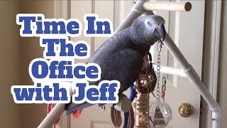 Einstein and Jeff Enjoy Time in the Office