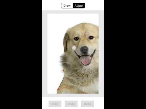 Freehand Cropper Apps On Google Play Freehand Cropper Apps On Google Play