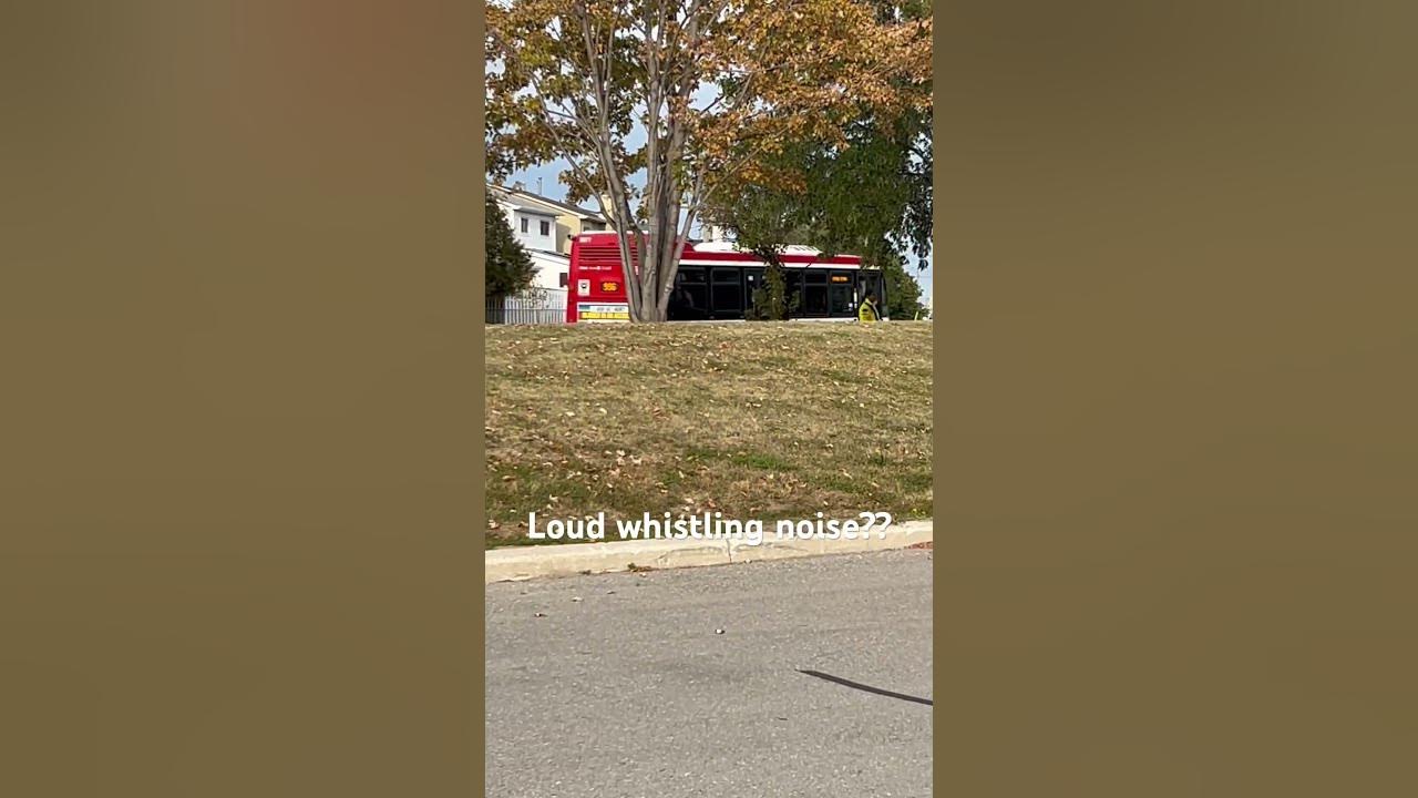 TTC NovaBus LFS Diesel 8877 with a LOUD engine whistle noise #ttc #