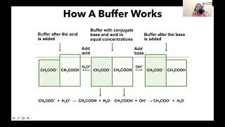 Introduction to Buffers