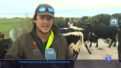 Trashumancia de vila a Extremadura - (2022 Diciemb...