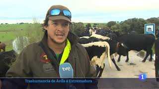 Trashumancia de Ávila a Extremadura - (2022 Diciembre) screenshot 1