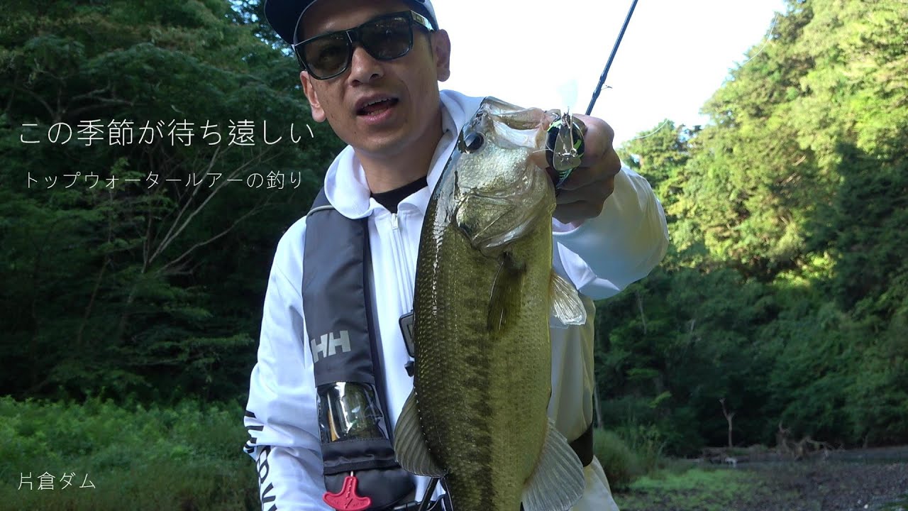 2019 チョップカット、ポンパドール、ヒットシーン