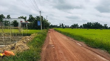 Đất thổ 449m2 mặt tiền đường Bờ Mồi - X. Phước Tuy - H. Cần Đước|| Giá 4,5tr/m2