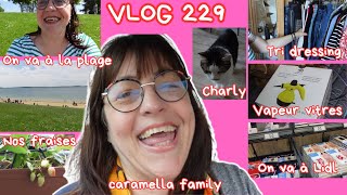 VLOG 229/ON VA A LA PLAGE/TRI DRESSING/ON S'OCCUPE DE CHARLY ET PRALINE/NETTOYEUR VAPEUR A VITRES...