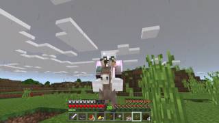 Minecraft Arrow Glitch (Win 10 1.0.5)