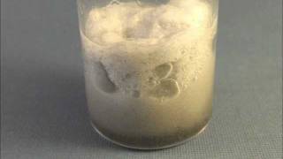 Catalytic Decomposition Of Cellulose Cotton Fibers By Hydrogen Peroxide H2O2