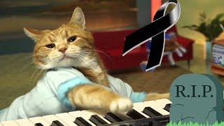 Keyboard Cat Dies!