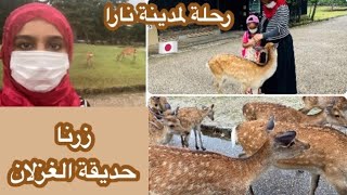 حديقة الغزلان ? من أمتع رحلاتنا في كنساي