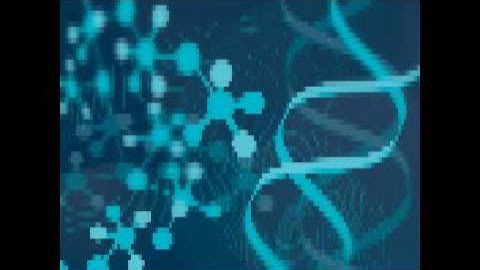 Psion- Reverse Engineering