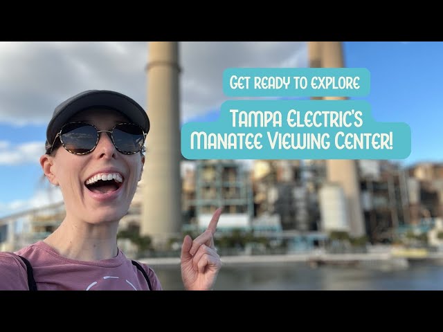 Tampa Electric opens Manatee Viewing Center