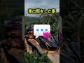 欲しい家を選んでみて!😳