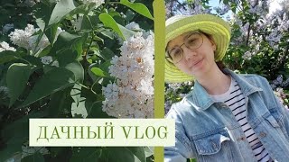 ДАЧНЫЙ ВЛОГ, поливаю картошку, убриаемся на участке // may