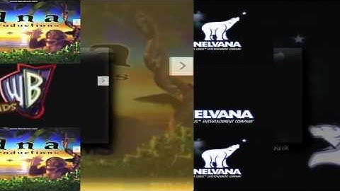 8 Shuric Scans with are slides