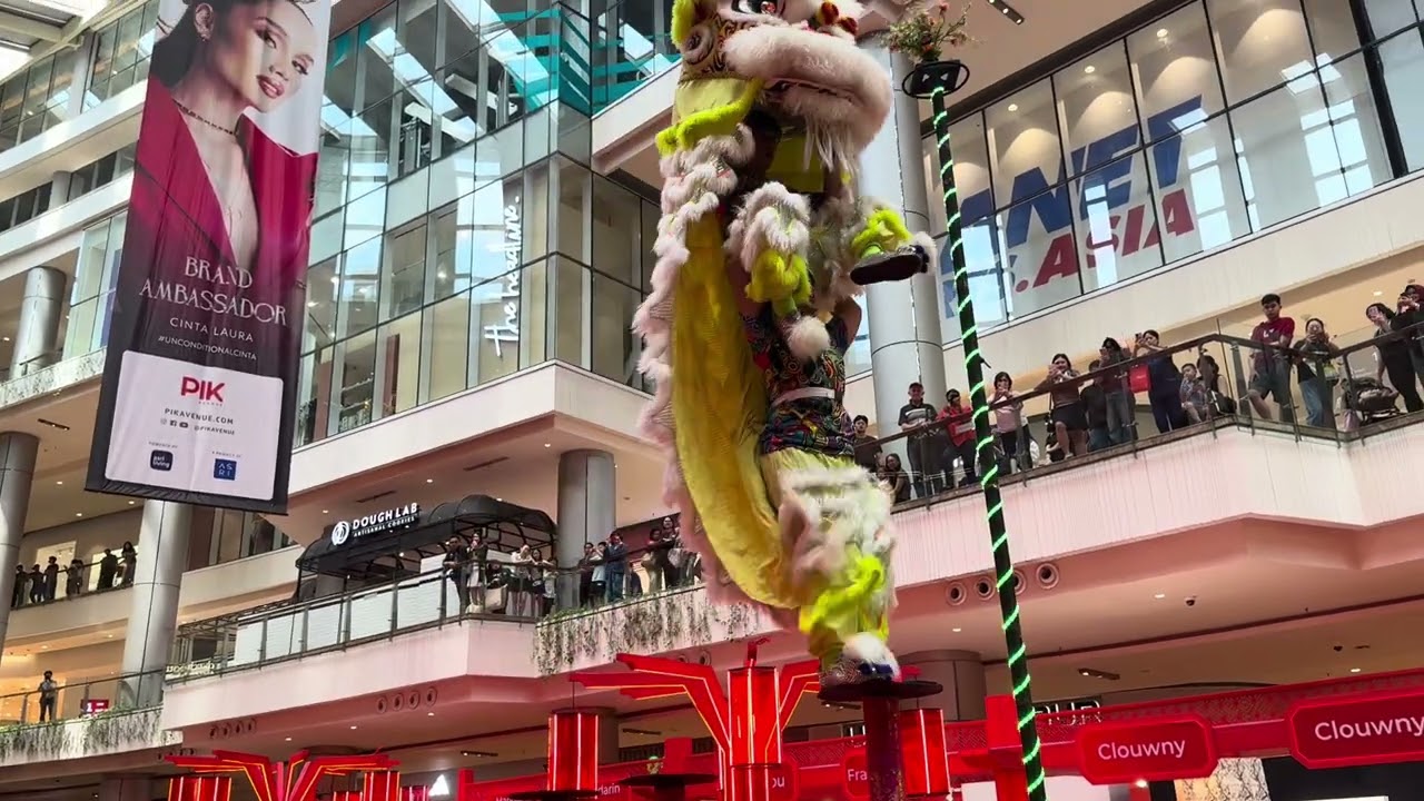 Chinese new year celebration at the Mall