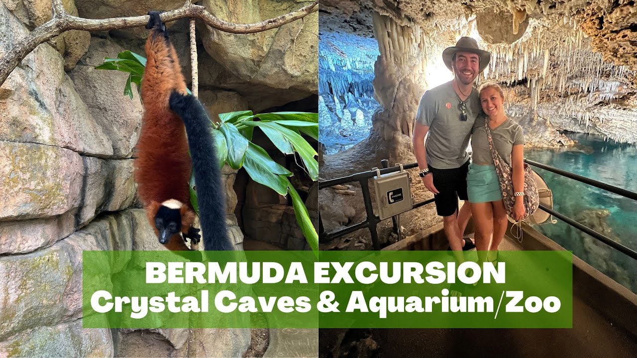 Bermuda Crystal Caves Bermuda Aquarium & Zoo Dinner, Dance, Drag