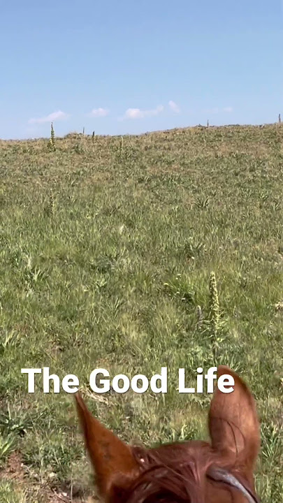 This is the Good Life #nature