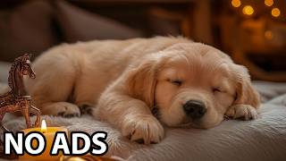 12 Hours Dog Calming Music ⭐ Relax My Dog - Dog Peaceful Soundscape For Relaxation And Calmness screenshot 5
