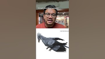 A tiny dinosaur flapped its wings and made these footprints