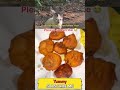 Please support me🙏🏻😭. #banaraslitfest #foodreaction #shortsviral