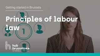Principles Of Labour Law Eveline Ankaert