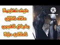 طريقه هجوم طاقات الظلام ع عمال النور واعراض الهجوم الطاقي عليك 