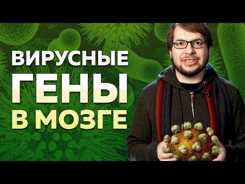 Вирусные гены в мозге