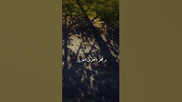 سورة الشورى /الله لطيف بعباده /قرآن كريم 💙 #للقران