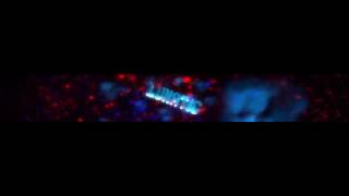 Lunatic ESL INTRO