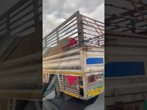امانه امانه ايلاف عبدالعزيز سودان حضرموت