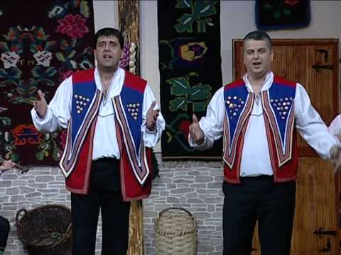 zare i goci ja popio jesam zare i goci ja popio jesam