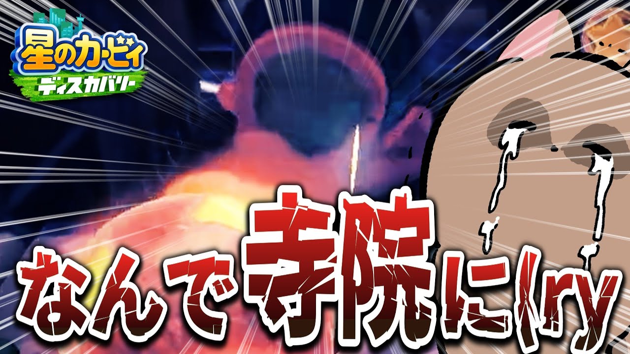 好きすぎて何度もこするたぬき【切り抜き】【星のカービィディスカバリー】