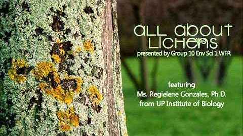 Podcast: Lichens as Bioindicators of Air Pollution