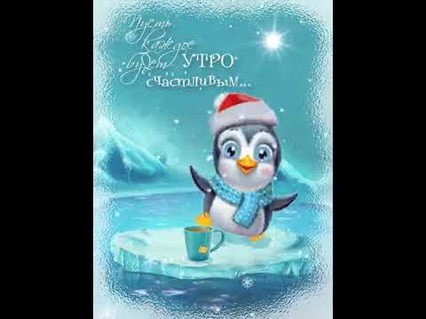 Красиво, доброе утро в январе с пингвинами картинки