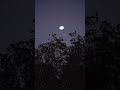 🌕 The moon has been our guide in the night sky for centuries, inspiring dreams, stories, and
