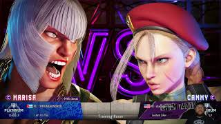 Smug faces off against an opponent that rage quits in Street