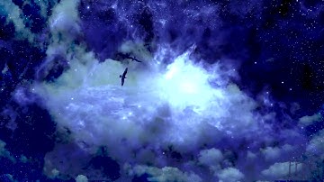 Qu-Bit Electronix Nautilus, Surface, Aurora, Data Bender, Strymon StarLab...