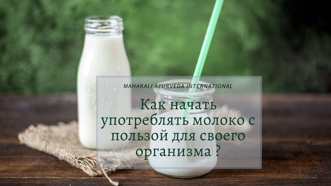 Можно ли пить молоко в пост. Употребление молочных продуктов и молочница.