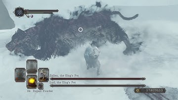 Dark Souls 2 SotFS (PS4) - Frigid Outskirts Lud & Zallen SL1 NG+7 (Solo/Melee)