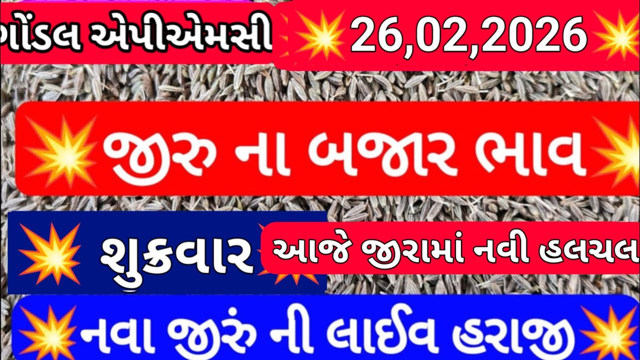 ગોંડલ જીરાના બજાર ભાવ /  નવા જીરાના ભાવ / આજના જીરાના બજાર ભાવ /26,02,2026