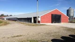 28506 Adkins Rd., Salisbury, MD - Farm For Sale