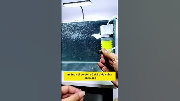 Khám Phá Bí Mật Của Bộ Lọc Hiệu Quả Cho Hồ Cá: Sức Mạnh 25 Watt! #notashopvn #locbeca #dammethuysinh