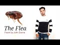 The Flea : Poem by John Donne in Hindi