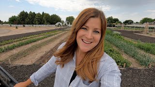 Planting a Whole Bunch of Lilies!!! 🙌💚 (Asiatic, Oriental, Trumpet, Canna & Calla) // Garden Answer