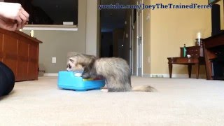 Update on Joey's Piano trick