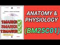 Anatomy & Physiology- BM25C01 | Anatomy| Physiology| Biomedical| BM25C01 | Regulation 2025 #bm25c01