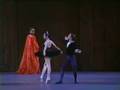 Swan lake  black swan pas de deux