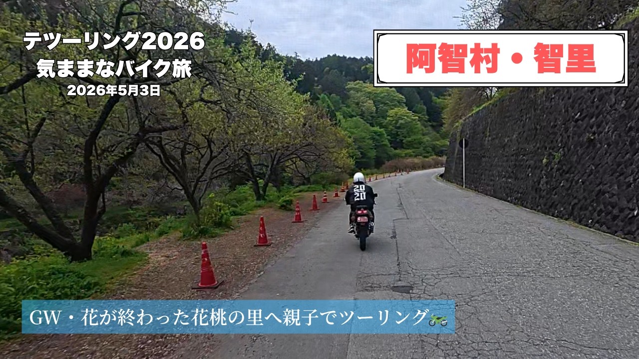 Fresh green peach blossom village (Achi Village, Chiri) │ May 3
