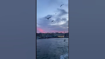 الشيخ سلطان عبدالله العمري - ماتيسر من سورة الأحزاب