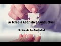 Terapia Cognitivo Conductual.